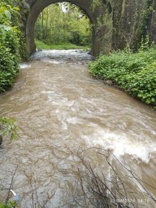 Confluence Ratier Mercier